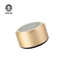 Green lion mini muscle speaker