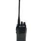 Crony Walkie Talkie (africa)