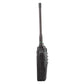 Crony Walkie Talkie (africa)