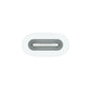 Apple power ADAPTER : USB-C TO APPLE PENCIL