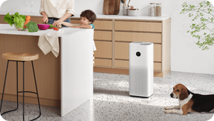 XIAOMI SMART AIR PURIFIER 4 PRO FILTER