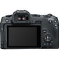 Canon Camera EOS R8 Body